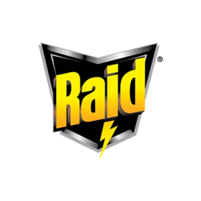 retro raid